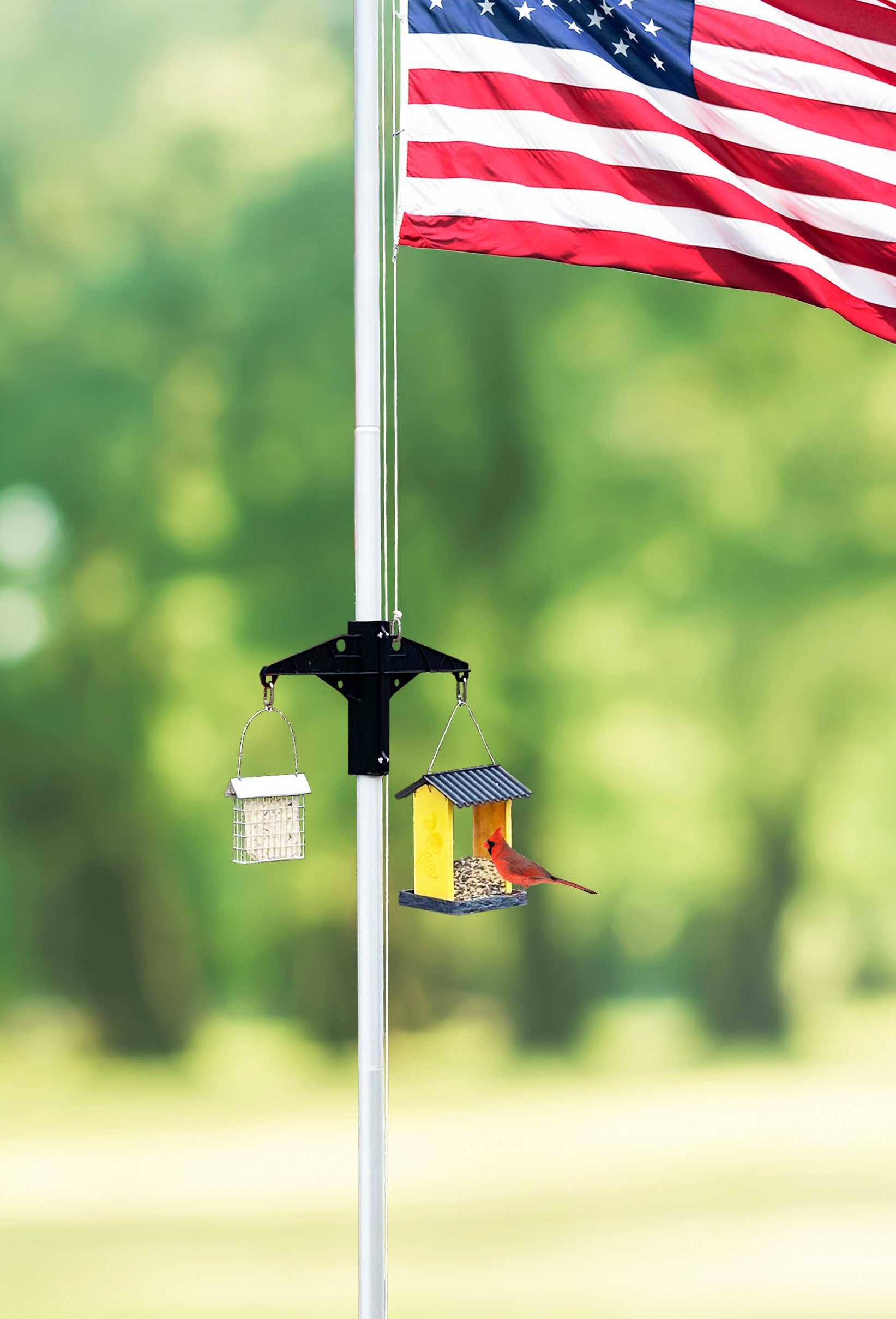 Freedom Fliers EZ FEED Bird Feeder Bracket with bird