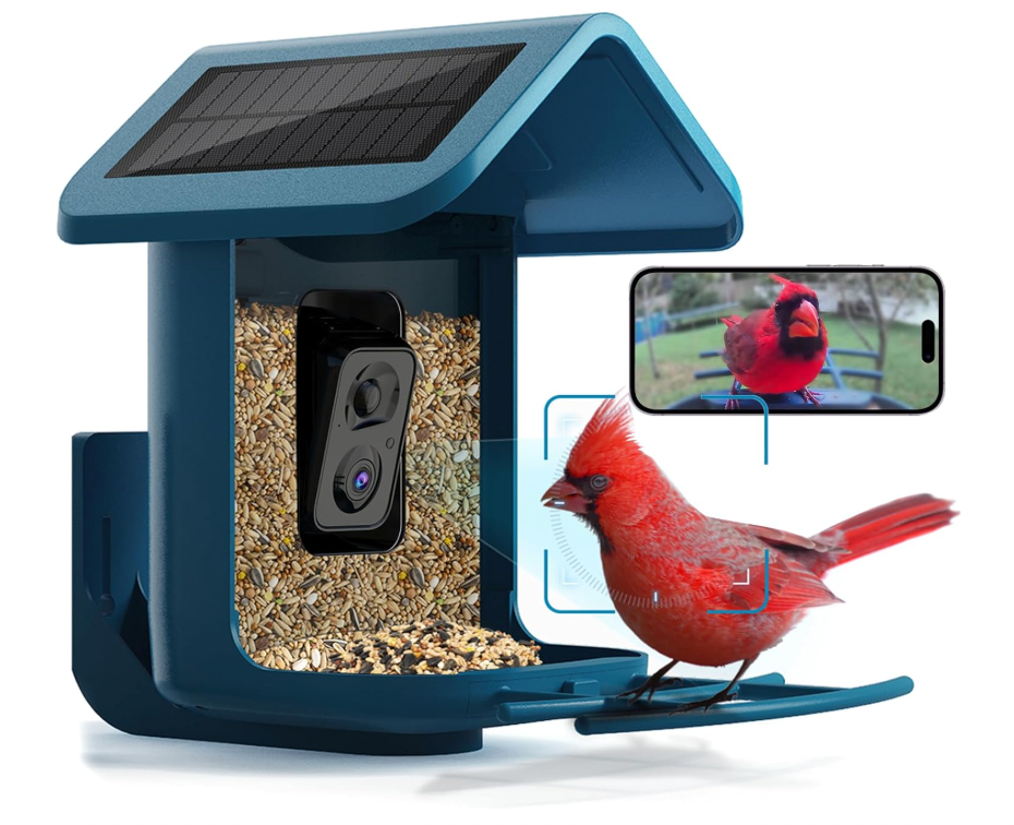 Bird Feeder with Camera: Why Smart Camera Feeders Are the Future of Bird Watching