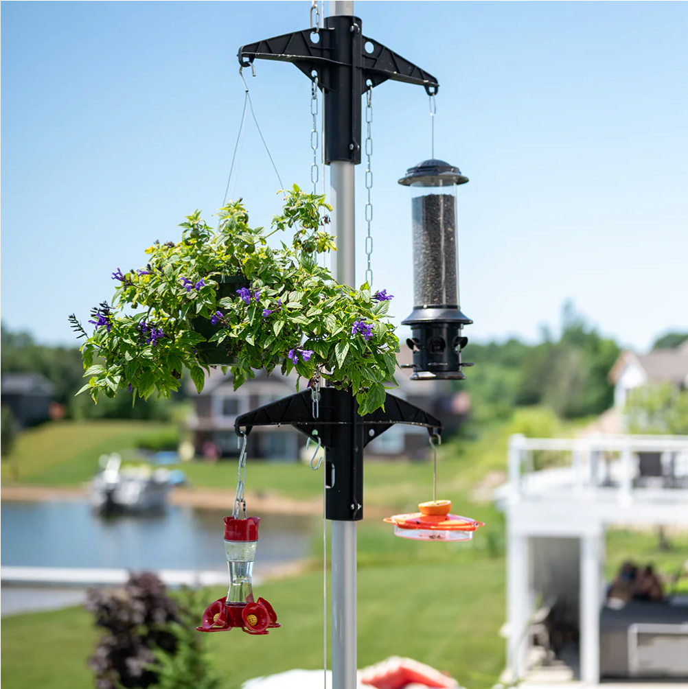 A Smarter Way to Feed Birds From an Elevated Home
