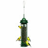 Green bird feeder with birds perched on it against a white background