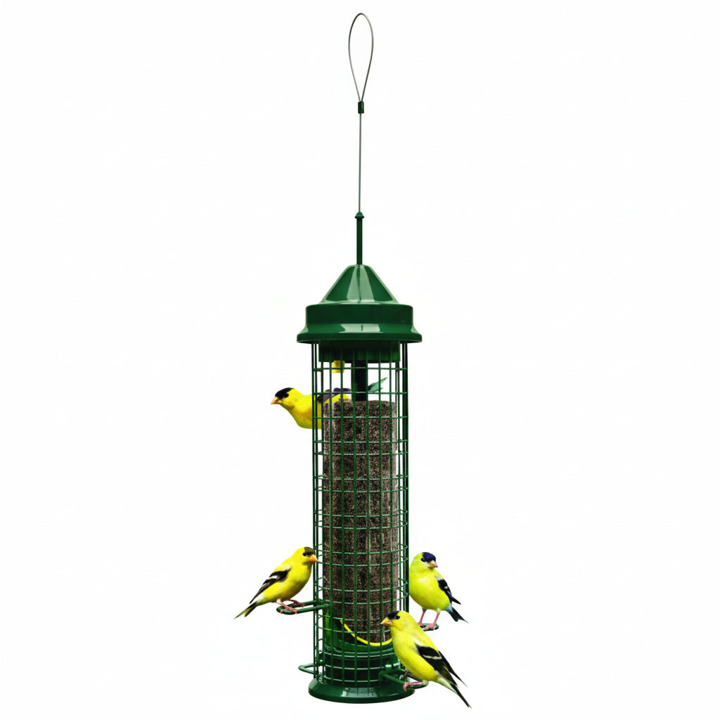 Green bird feeder with birds perched on it against a white background