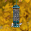 Bird feeder with birds on a blurred yellow background