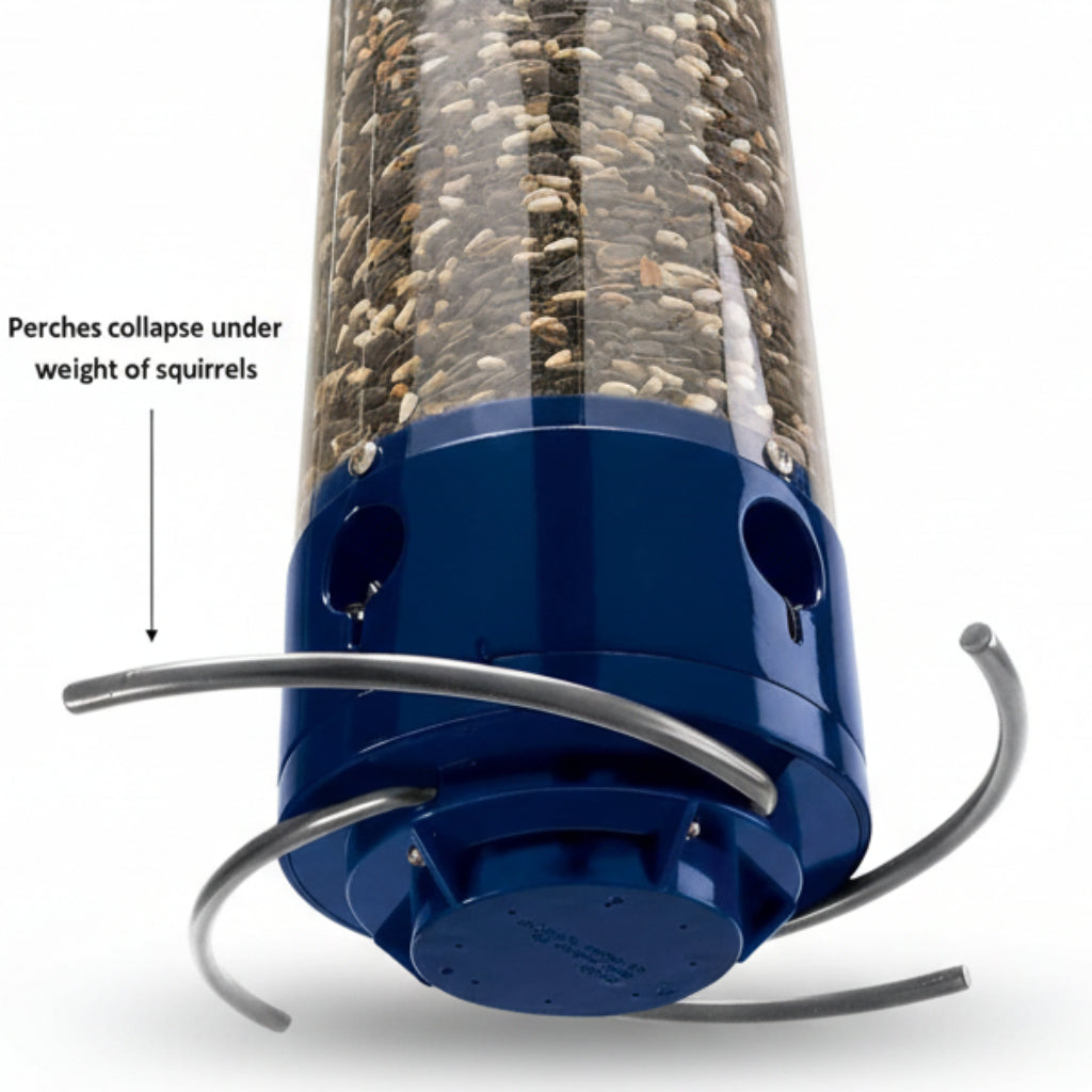 Bird feeder with blue base and metal perch, showing text about squirrel weight impact.
