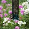 Two birds interacting with a bird feeder surrounded by flowers
