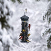 Birds perched on a bird feeder against a snowy background