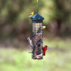 Bird feeder with multiple birds perched on it against a blurred natural background