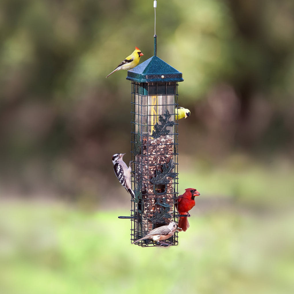 Bird feeder with multiple birds perched on it against a blurred natural background